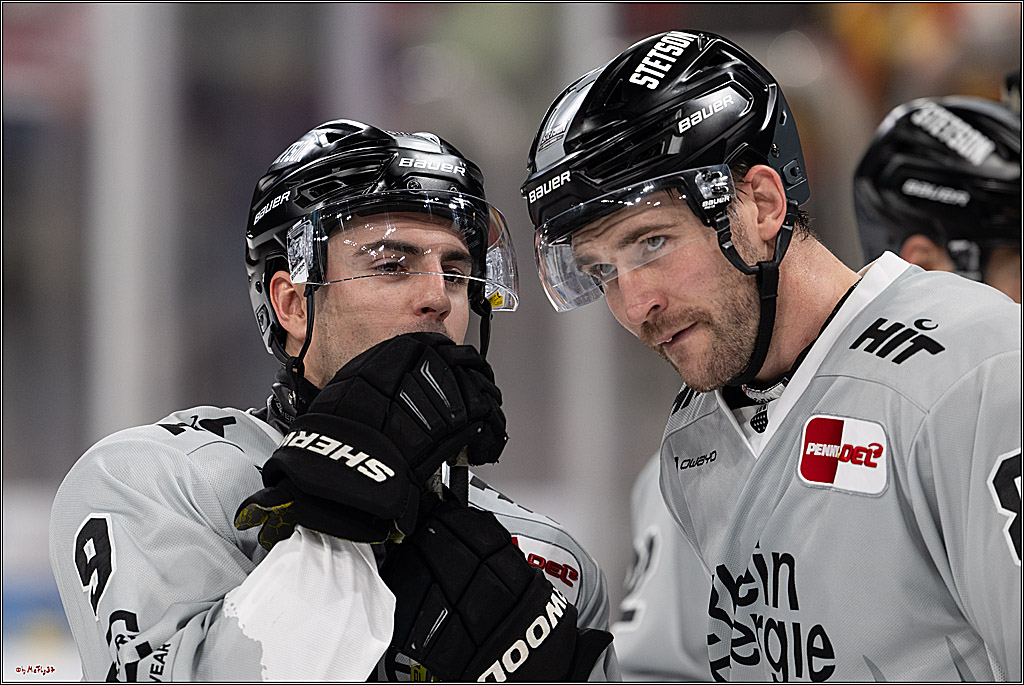 PENNY DEL 1; Düsseldorfer EG - Kölner Haie; Düsseldorf, 24.01.2025